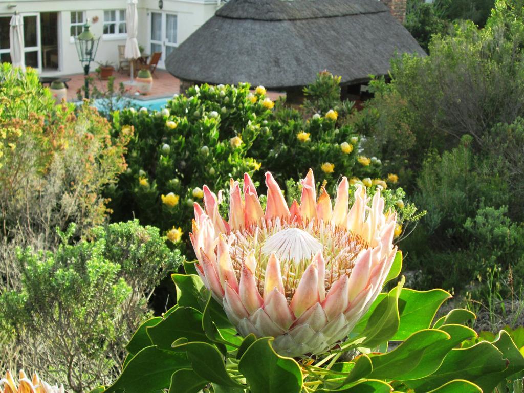 Von Abercron Residence Hermanus Pokój zdjęcie